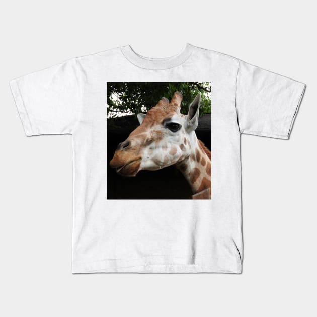 Giraffe Kids T-Shirt by kirstybush